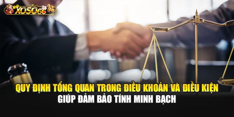 Quy định tổng quan trong điều khoản và điều kiện giúp đảm bảo tính minh bạch