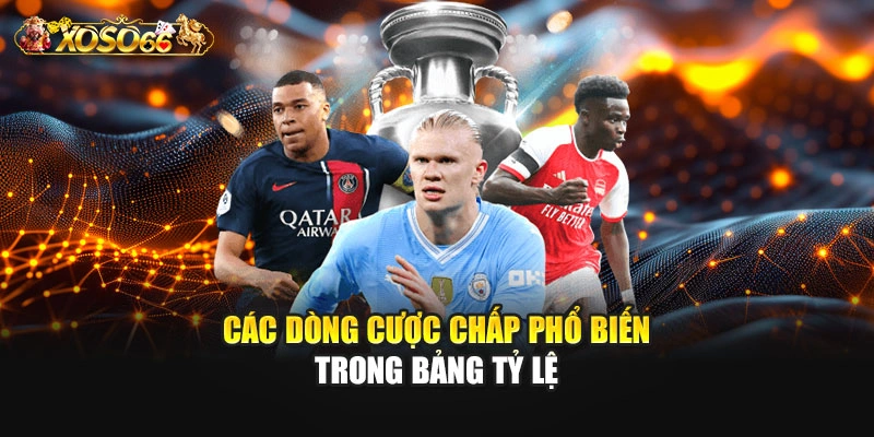 Các dòng cược chấp phổ biến trong bảng tỷ lệ