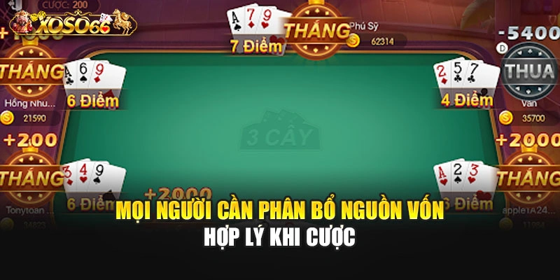Mọi người cần phân bổ nguồn vốn hợp lý khi cược