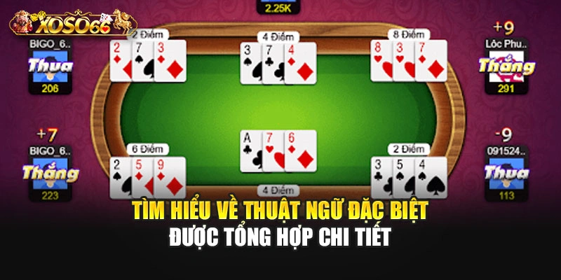 Tìm hiểu về thuật ngữ đặc biệt được tổng hợp chi tiết